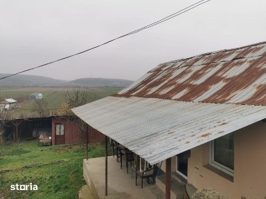 Argetoaia, Dolj