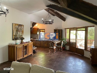 CabanaVila de inchiriat Valea Budului, Margineni