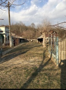 Olt, Mereni