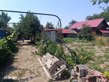 Dabuleni, Dolj