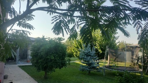 Casă de vânzare Însurăței