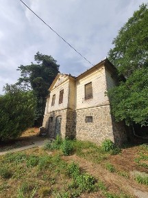 Arad, Paulis