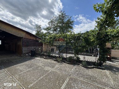 Smig, Alma, Sibiu