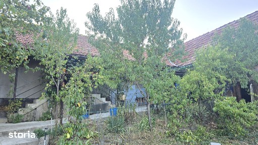 Vand casa in Deva, zona Viile Noi, suprafata de teren de 766 mp