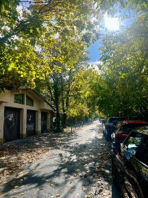Casă individuală Floreasca - 283 mp teren, lângă Parcul Verdi