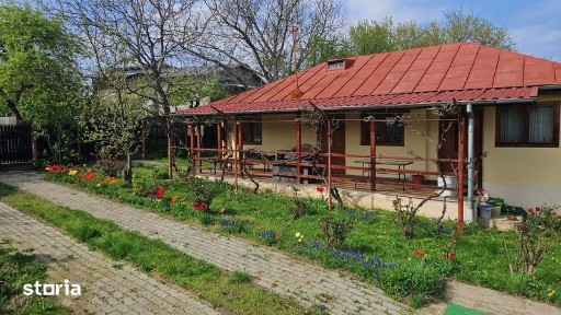 Casa 3 camere Seciu, langa Crama Seciu