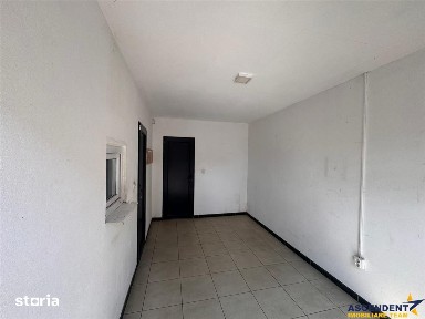 Spatiu comercial 225 mp: depozitare, productie,service auto, Libertati