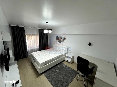 Apartament 1 camera Alexandru cel Bun