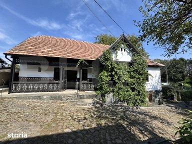 Proprietate superba in Damieni! cu potential enorm comercial! 550mp ut