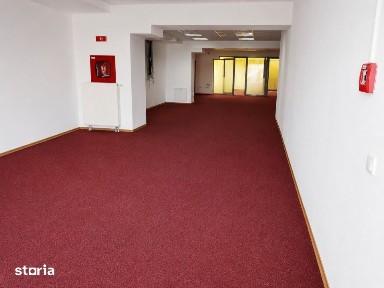 Craiovei, Pitesti, Arges