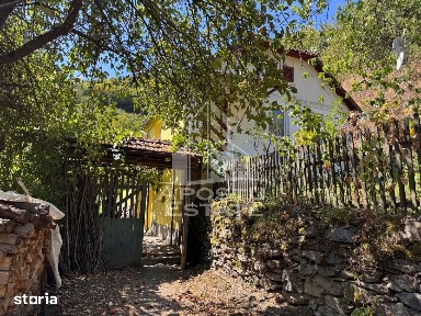 Casa batraneasca renovata, iesire la rau, in Toplita, Hunedoara