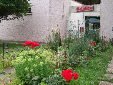 Vila in Statiunea Venus, Imobil/afacere de vânzare in centrul statiunii și aproape de plajă.