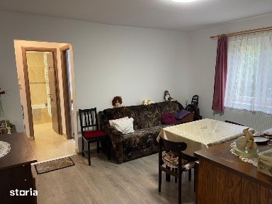 Chirie apartament 2 camere,Parter,Zona Spital Nou