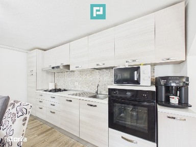 Casă solidă în Curtici cu teren de 1166 mp