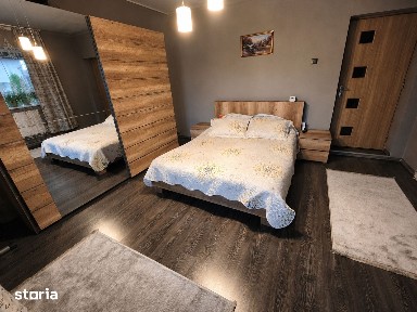 Proprietate cu două locuințe, garaj încălzit, foișor, 600 mp in Ernei