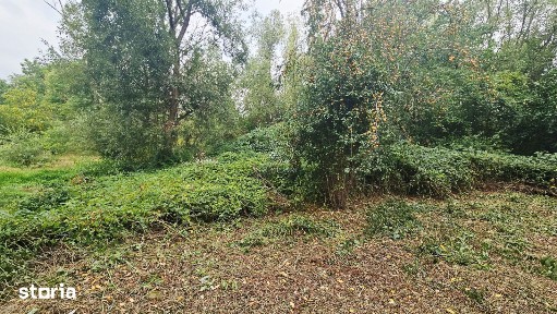 Casă de vânzare în Curtișoara