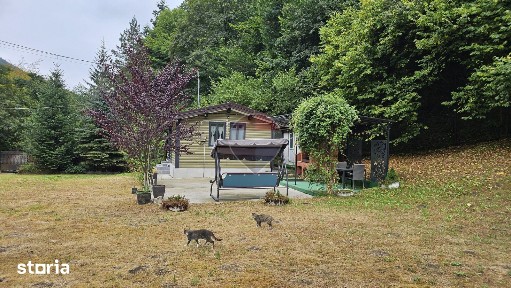 Căsuță de vacanță de vânzare - comuna Alexandru cel Bun, Neamț