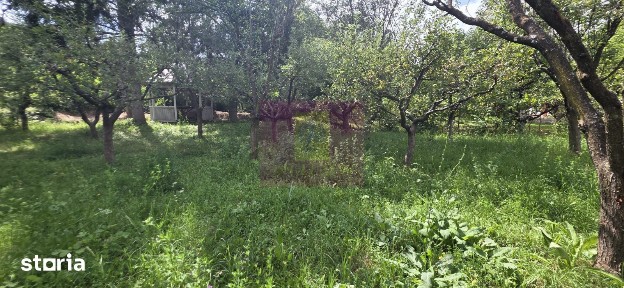 Vila cu livada de vanzare in Breaza