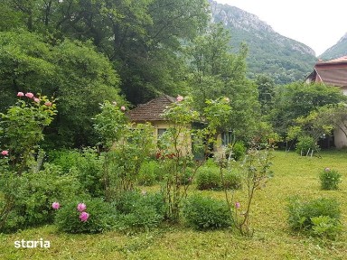 Vanzare casa cu teren in Herculane