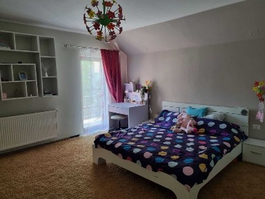 Proprietate Mixtă Ultracentrală - Casă, Spațiu Comercial & Teren