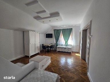 Subcentral, Satu Mare