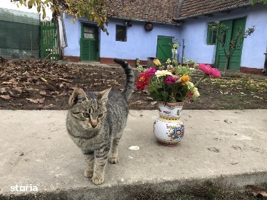 Casă de vânzare cu 3 camere și curte mare