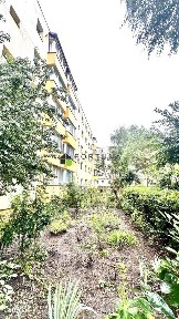 Mierlei, Astra, Brasov