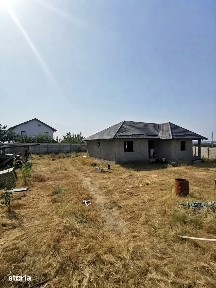 Carcea, Dolj