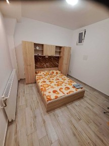 Timis, Timisoara