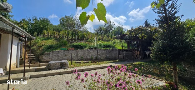 Casă de vânzare în exclusivitate, str. Română nr. 45, Sighisoara