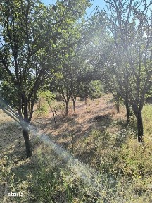 Casa si teren de vanzare 1550 mp