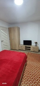 Garsoniera de vanzare, 25 mp, zona Lapus - Electroputere Mall