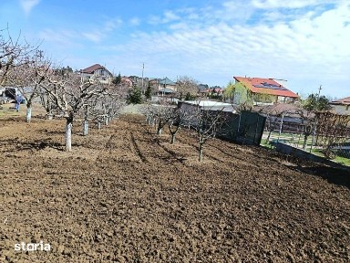 Vils la gri in Buftea, Strada Indepententei,NR 8,Calul Balan