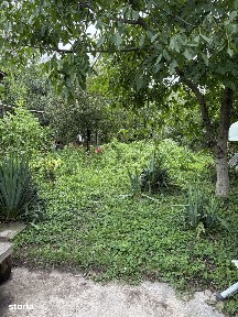 Afumati, Ilfov