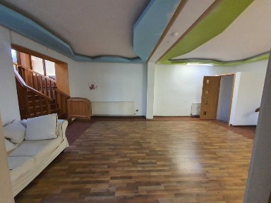 Vilă spațioasă cu D+P+1
