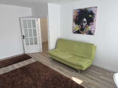 PF Apartament 1 camera kaufland manastur usamv platinia
