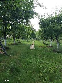 Snagov, Ilfov