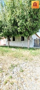 Macea, Arad