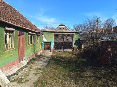 Sibiu, Sangatin