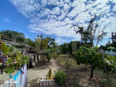 Casa de vanzare, 70 mp, 1079 mp teren, front de 18m, Timisoara Frateli