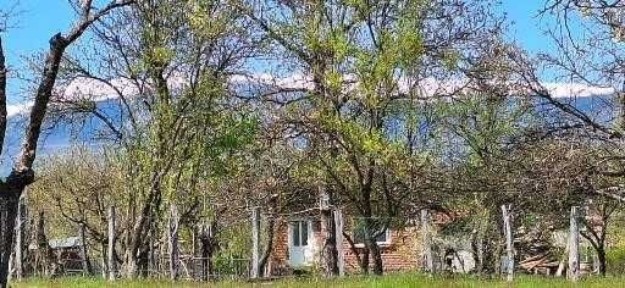 Vând 5.000mp + căsuță de vacanță Bughea de Jos (Mlăci) Argeș