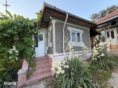 Case la tara 76 mp + Teren 592 mp, langa padure | Gheboieni, Dambovita