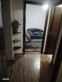 Steaua, Timisoara, Timis