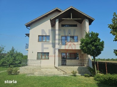 Strada Pelicanului, Niculesti, Dambovita