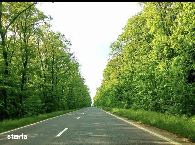 Casă cu 4 camere și mansardă locuibila, în natura, lângă Club Snagov