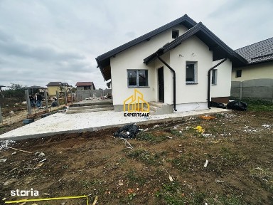 Casa individuala/3 camere/300 MP/Domnesti