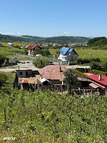 Sanduleni, Bacau