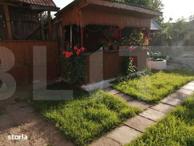 Casa din caramida cu teren urias 6.116 mp - Verguleasa (Olt)