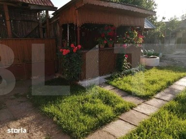 Casa din caramida cu teren urias 6.116 mp - Verguleasa (Olt)