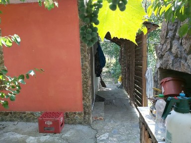 Casă Rogojeni Galați 2000mp²